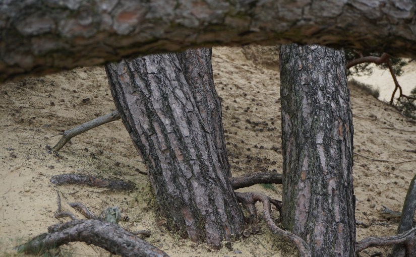 Blog | Hoezo&nbsp;aanstelleritis?