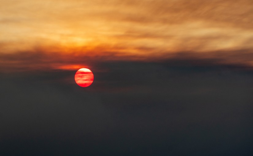 Is het autisme of&nbsp;PTSS?