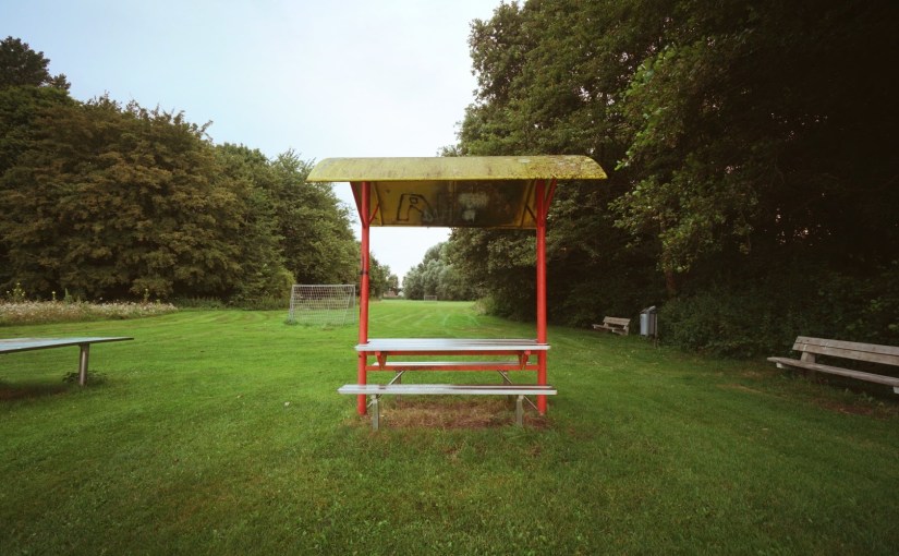 Fanatieke Pokémon trainer